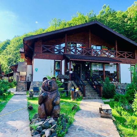 Chalet Vedmezhe Polyana  Exterior photo