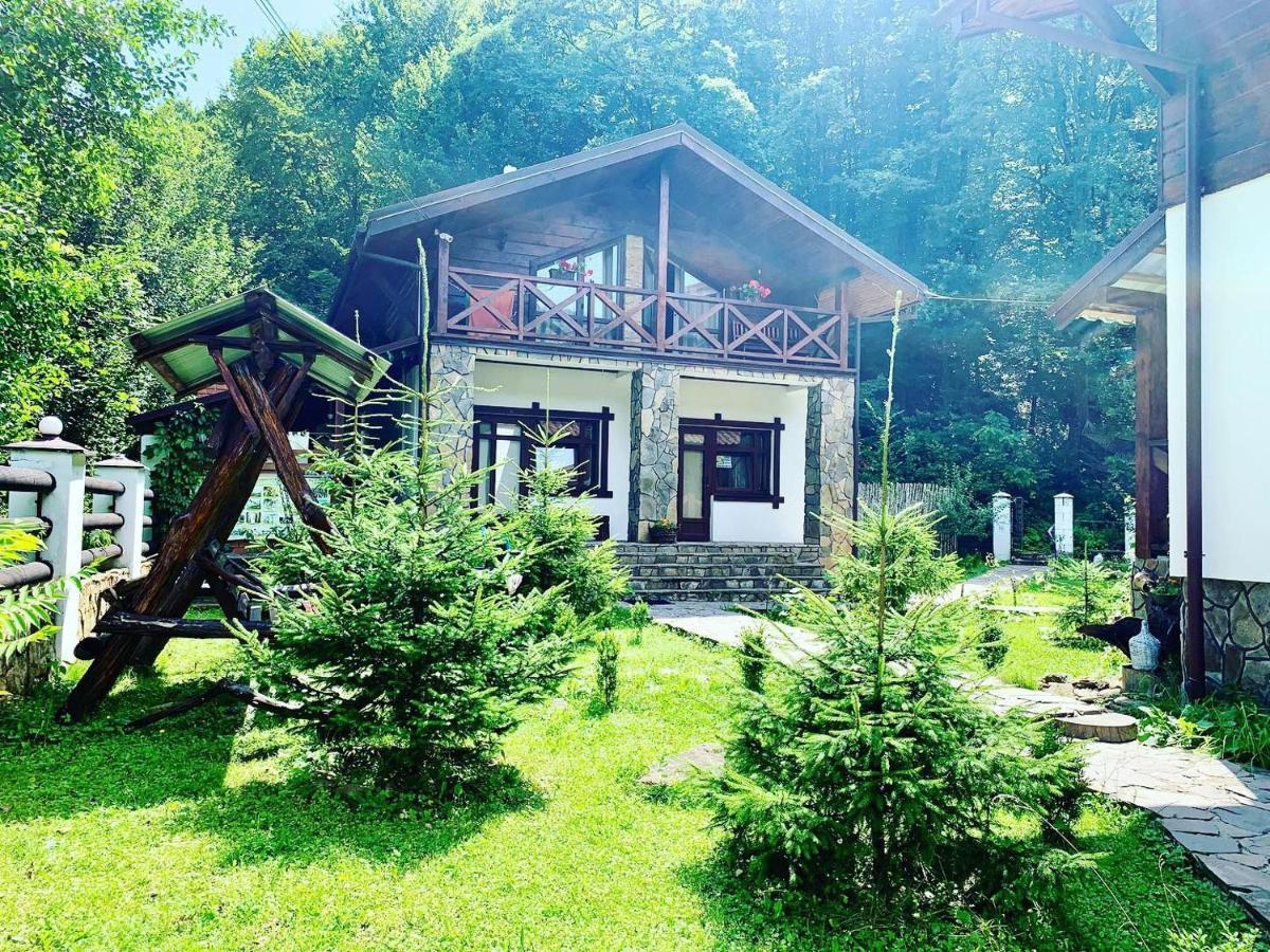 Chalet Vedmezhe Polyana  Exterior photo