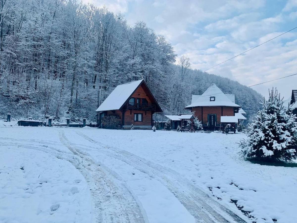 Chalet Vedmezhe Polyana  Exterior photo