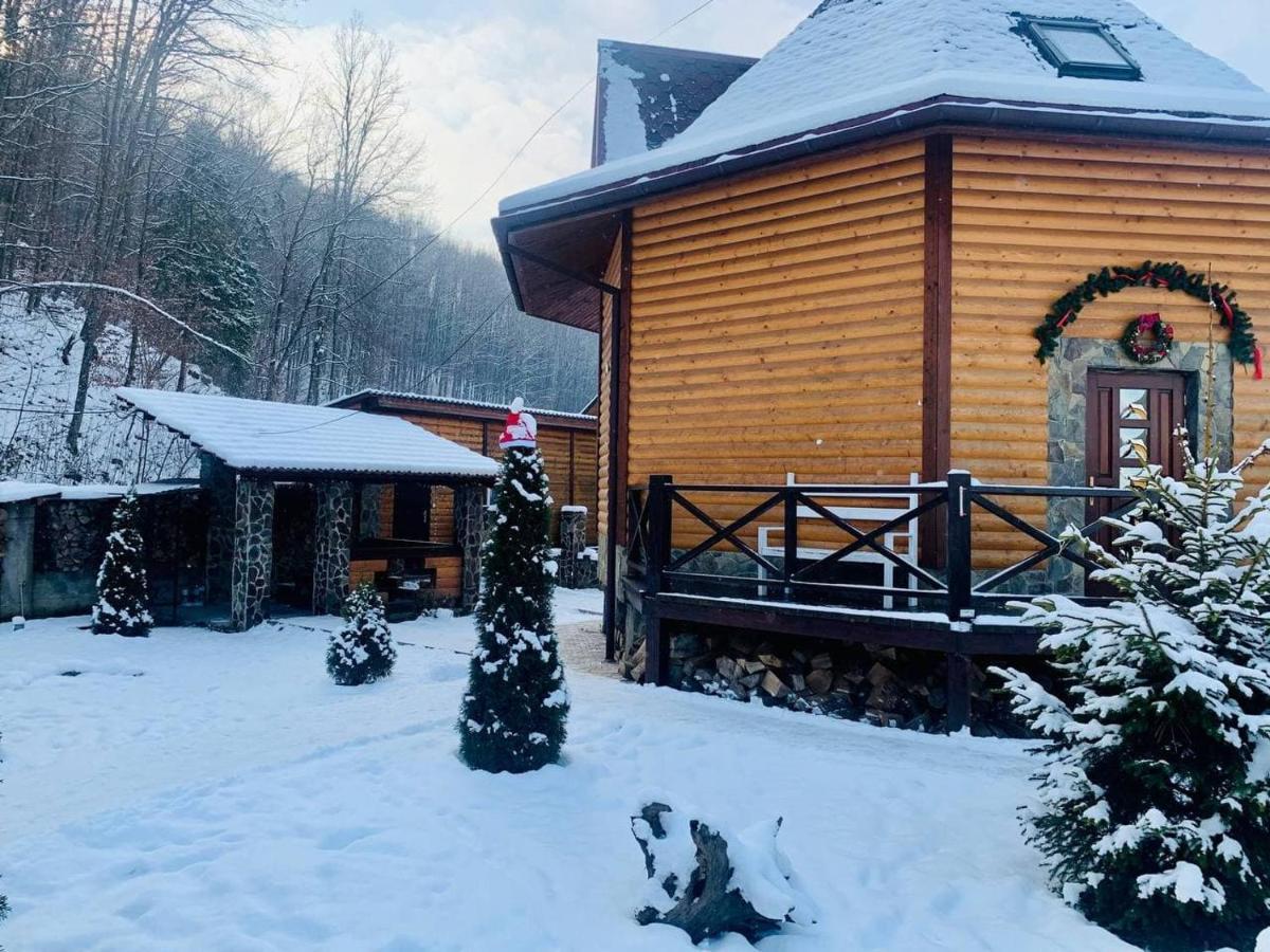 Chalet Vedmezhe Polyana  Exterior photo