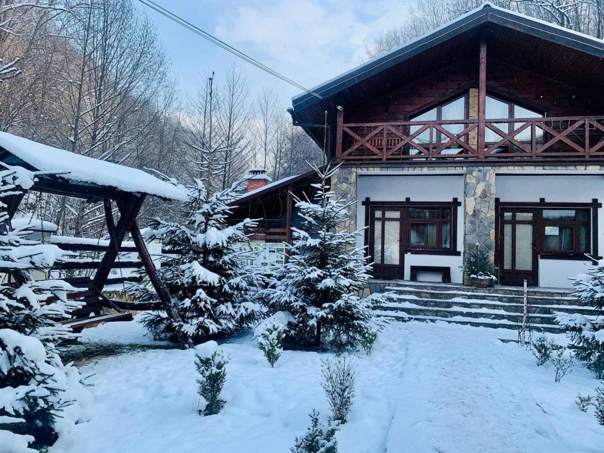 Chalet Vedmezhe Polyana  Exterior photo