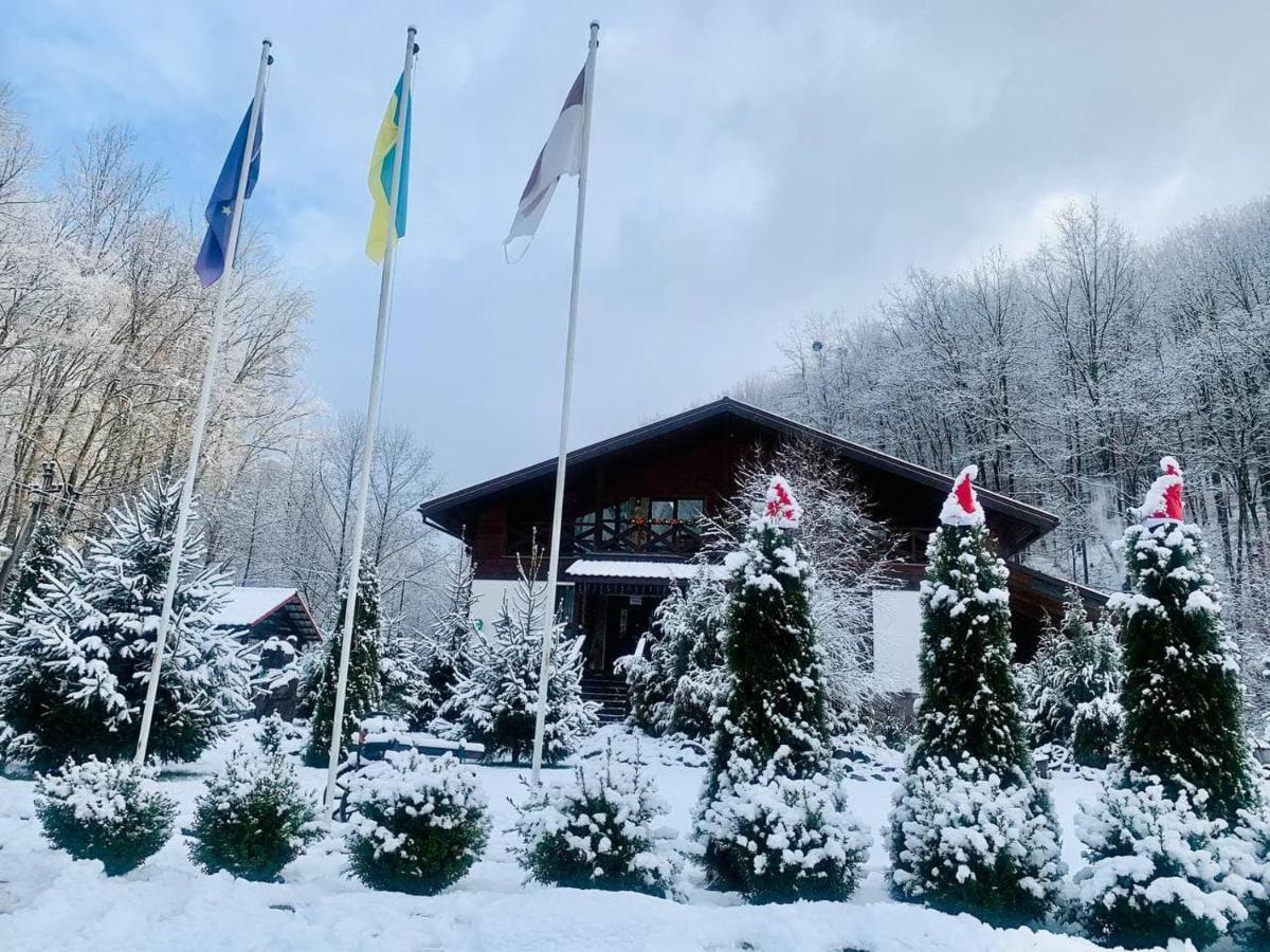 Chalet Vedmezhe Polyana  Exterior photo