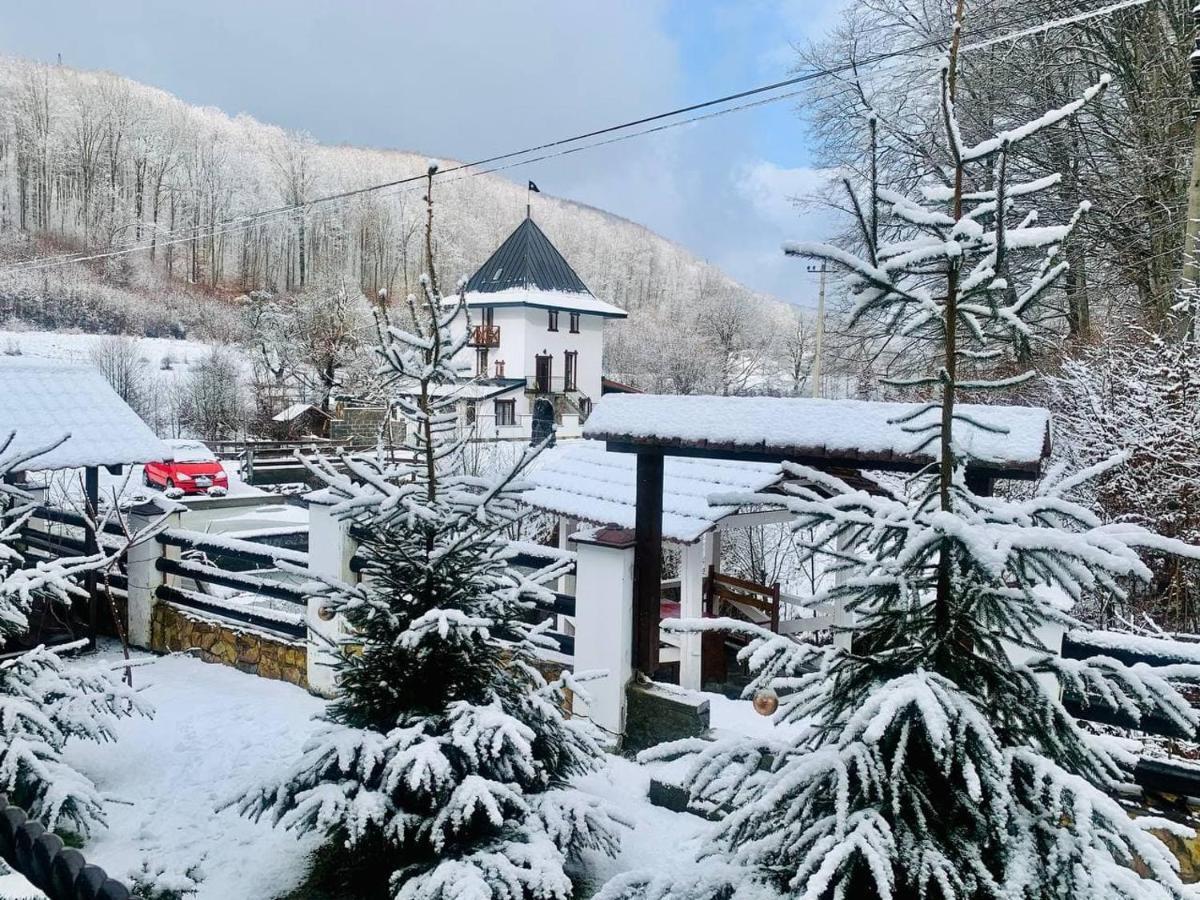 Chalet Vedmezhe Polyana  Exterior photo