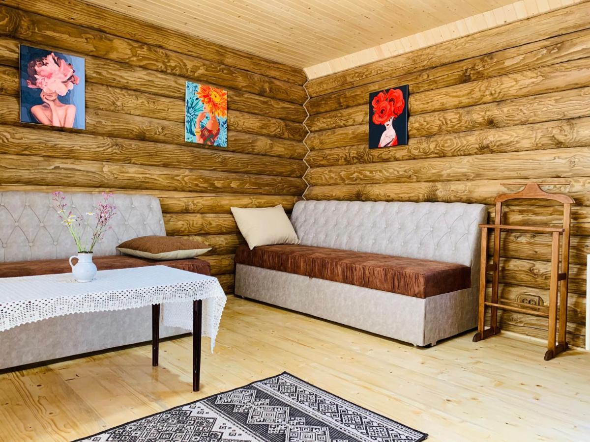 Chalet Vedmezhe Polyana  Exterior photo