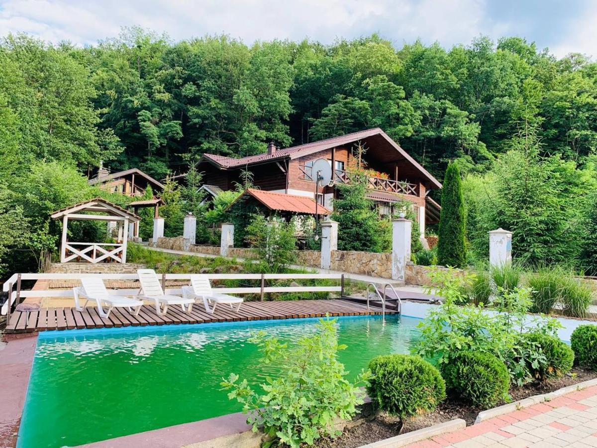 Chalet Vedmezhe Polyana  Exterior photo
